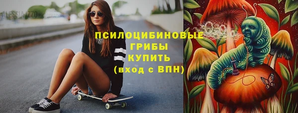 бошки Арсеньев